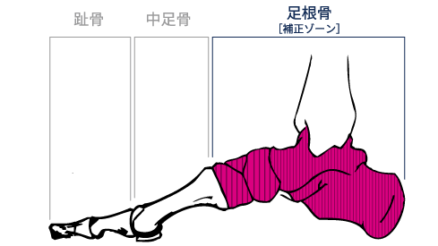 足裏の骨を支えて姿勢を整える